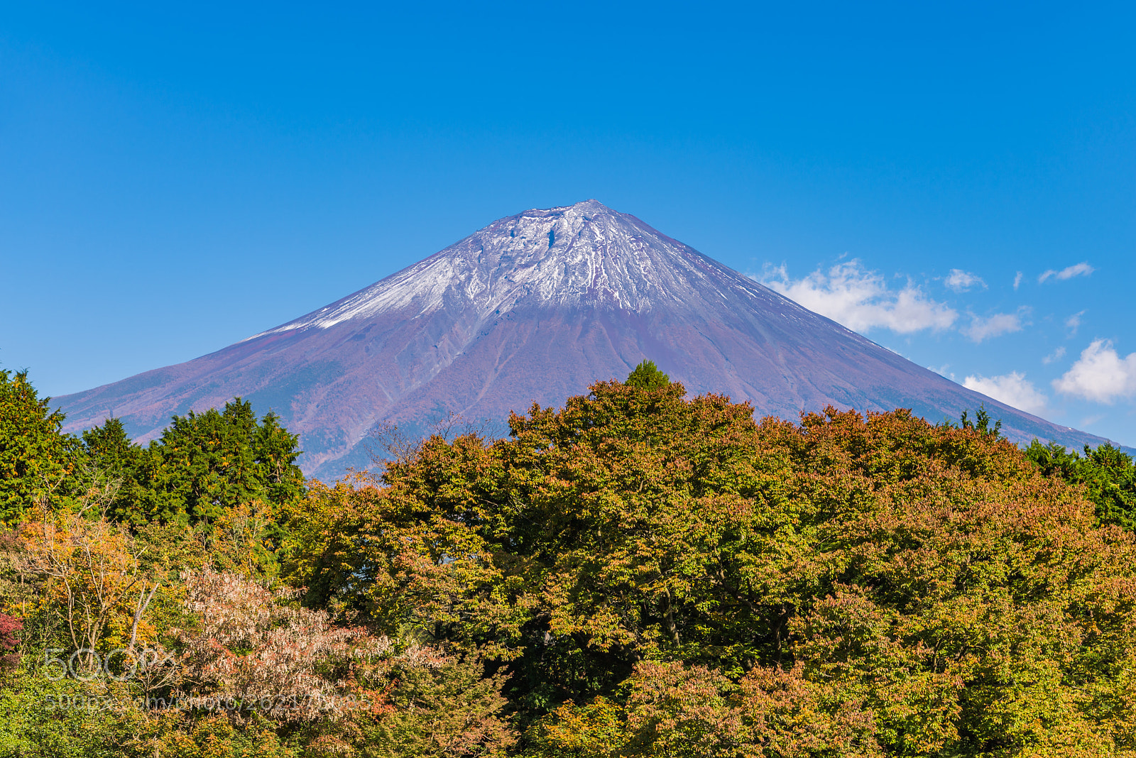 Nikon D610 sample photo. Mount fuji with maple photography