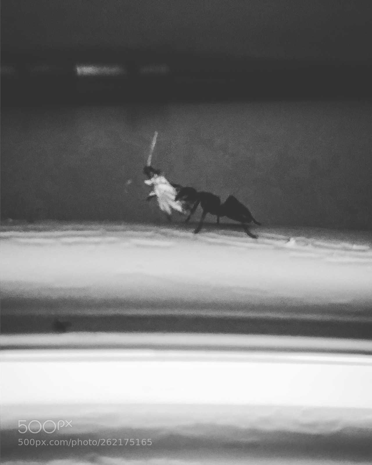 Apple iPhone 8 sample photo. Relentless hunter  photography