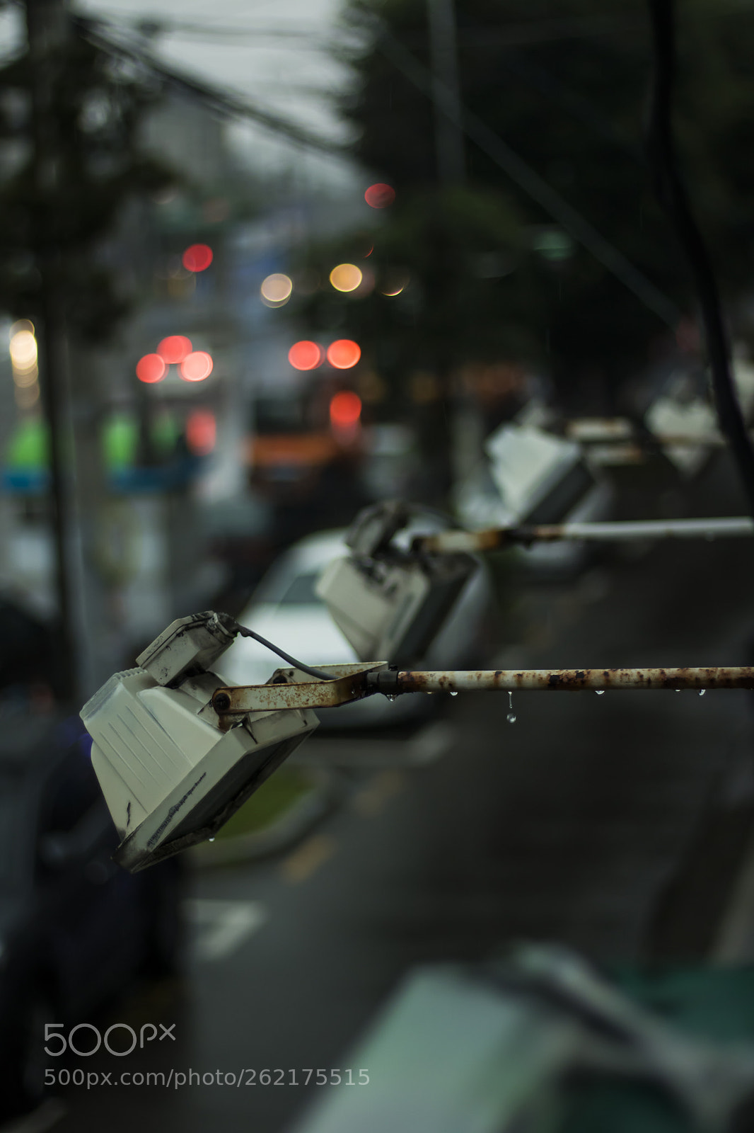 Canon EOS 750D (EOS Rebel T6i / EOS Kiss X8i) sample photo. A rainy day photography