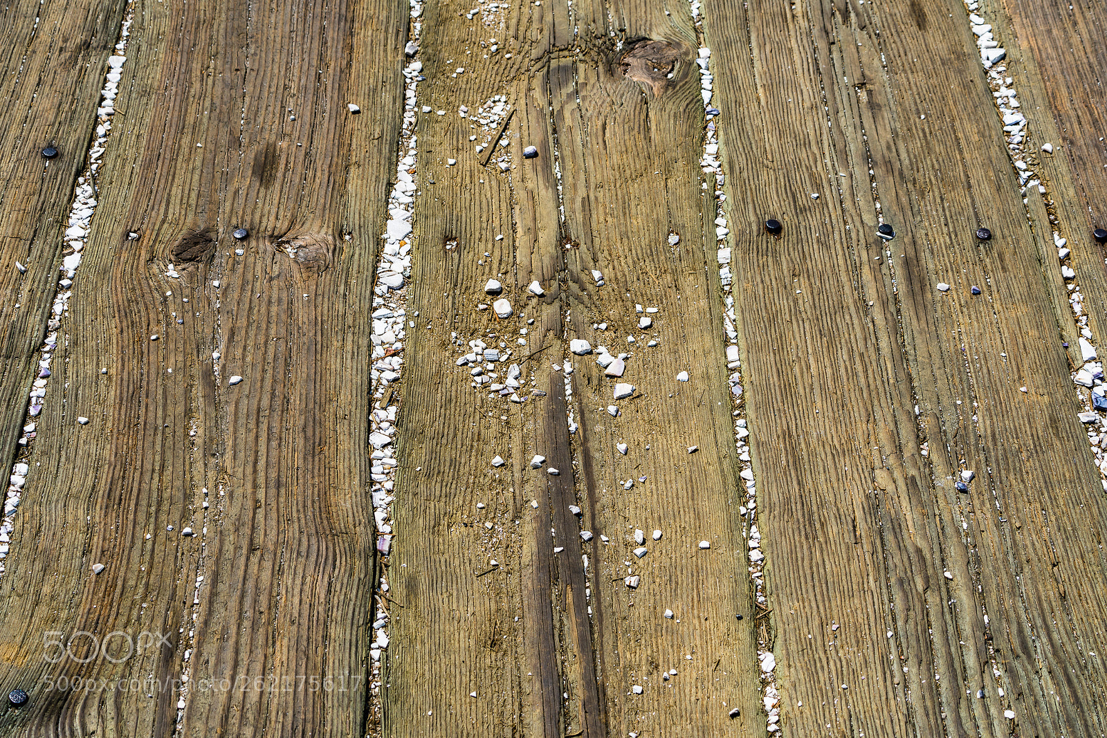 Sony a7R II sample photo. Crushed seashells on dock photography
