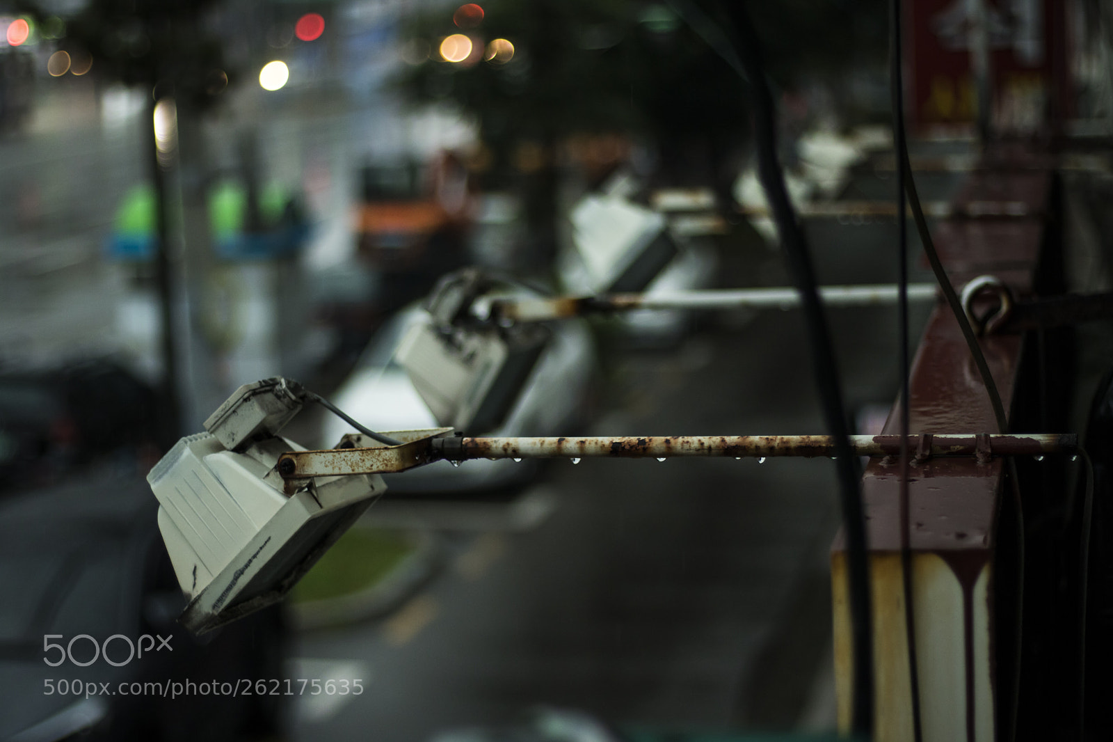 Canon EOS 750D (EOS Rebel T6i / EOS Kiss X8i) sample photo. A rainy day photography