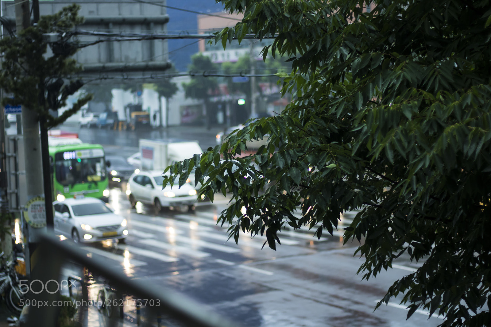 Canon EOS 750D (EOS Rebel T6i / EOS Kiss X8i) sample photo. Untitled photography