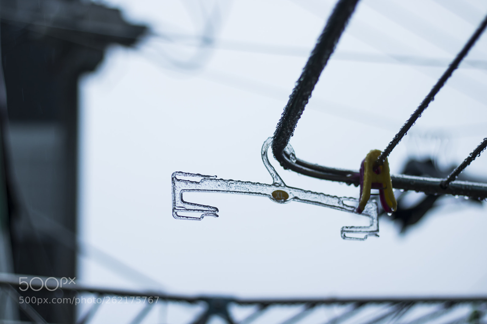 Canon EOS 750D (EOS Rebel T6i / EOS Kiss X8i) sample photo. A rainy day photography