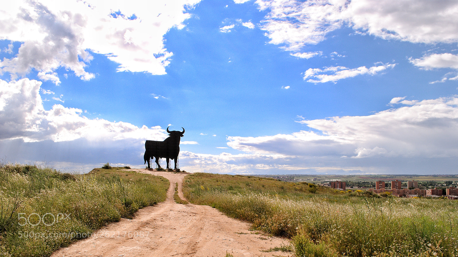Nikon D3000 sample photo. Toro de osborne cielo photography
