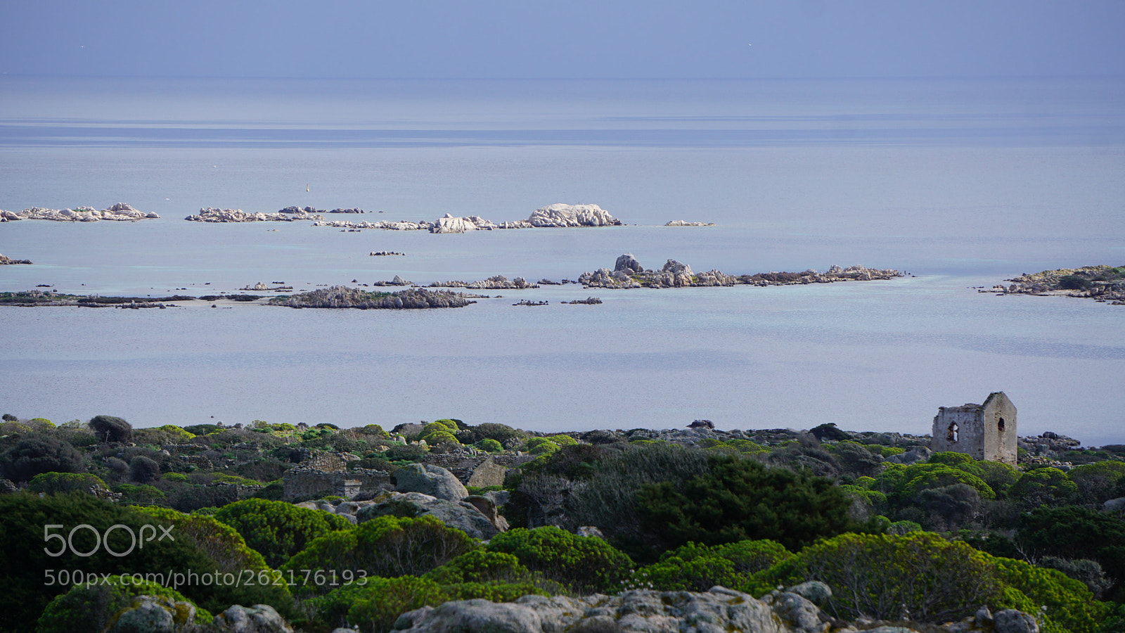 Sony a6000 sample photo. Asinara photography