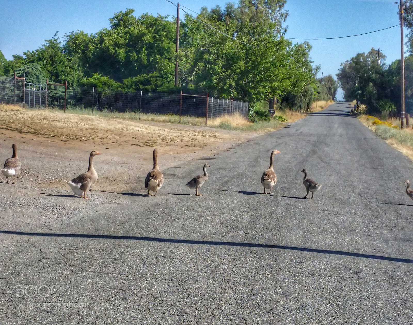 Samsung Galaxy Note4 sample photo. My traffic today photography