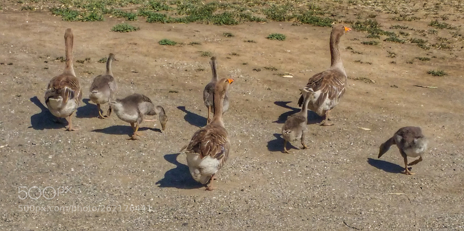 Samsung Galaxy Note4 sample photo. Mama's and babies photography