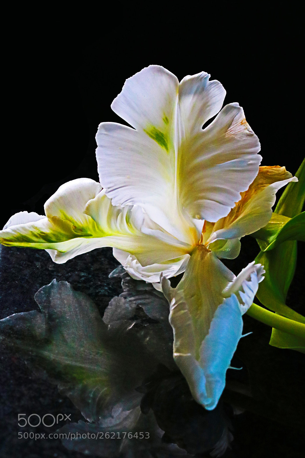 Canon EOS 760D (EOS Rebel T6s / EOS 8000D) sample photo. Untitled photography
