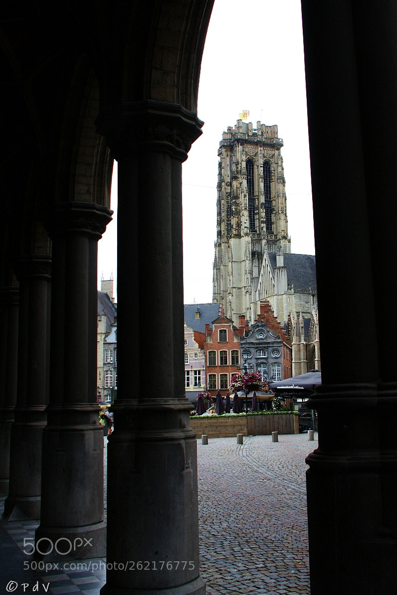 Canon EOS 450D (EOS Rebel XSi / EOS Kiss X2) sample photo. Sint rombouts photography