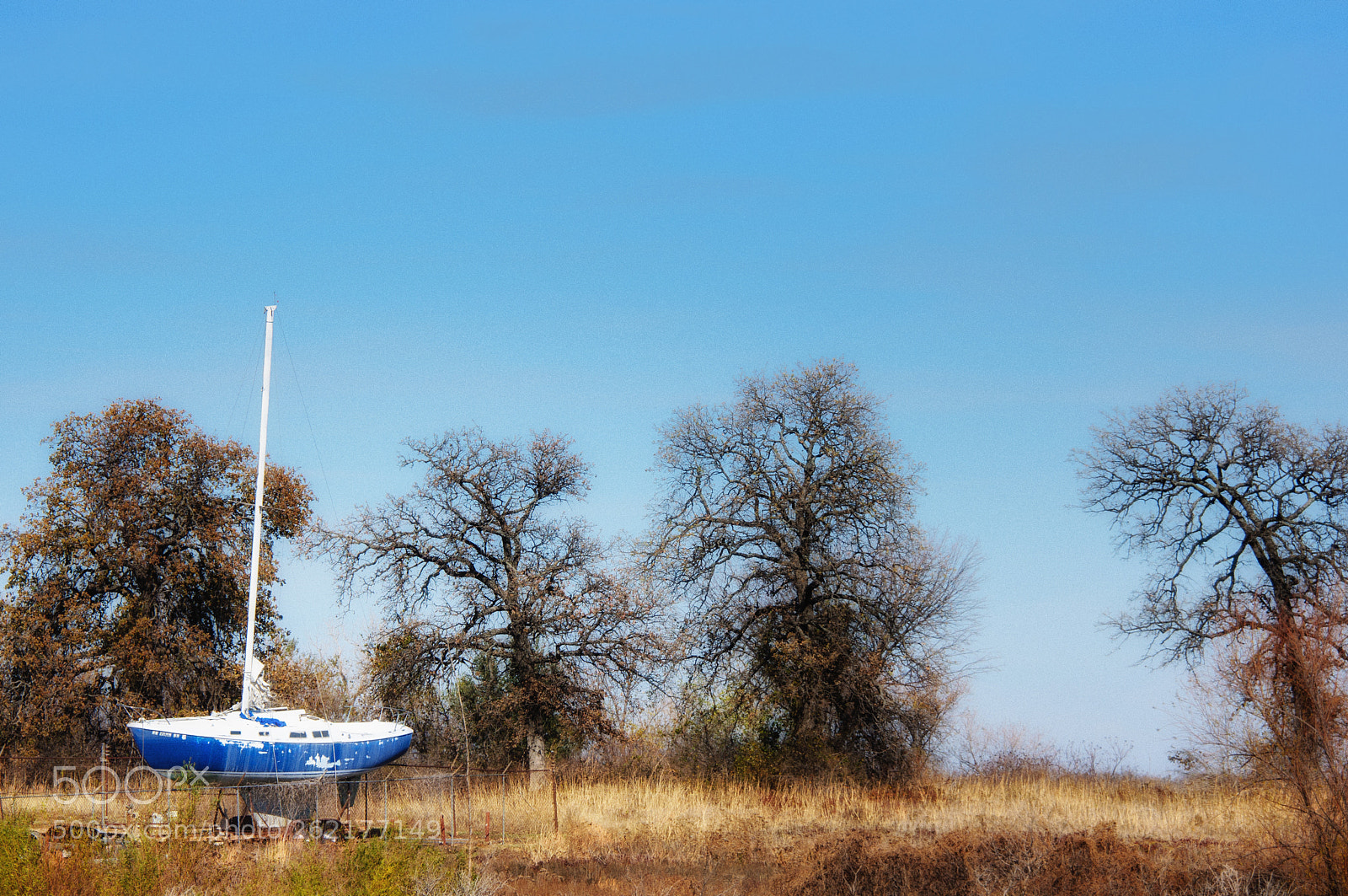 Nikon D90 sample photo. Needs repair photography