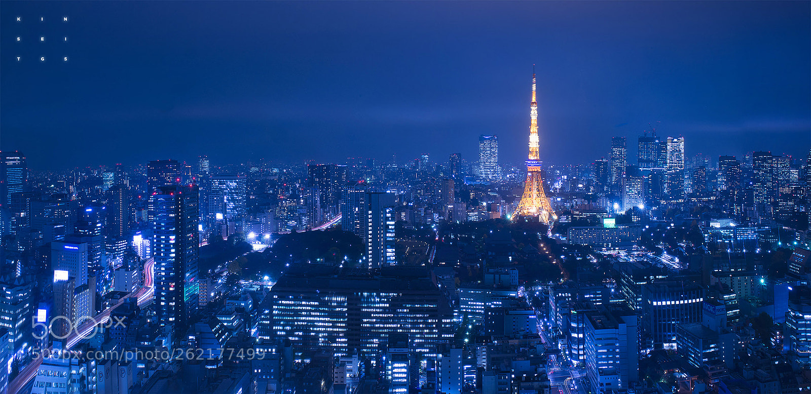 Nikon D800E sample photo. Tokyo tower @ night photography