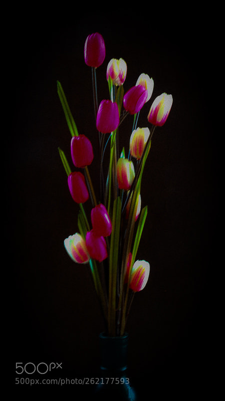 Nikon Coolpix P7800 sample photo. Flowers photography