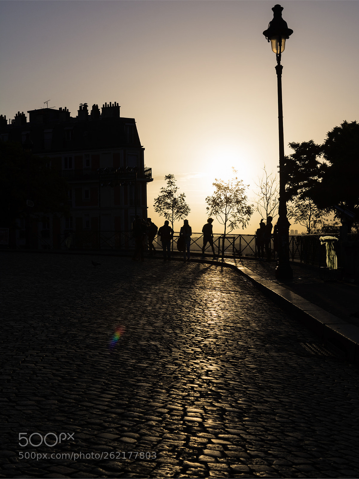 Nikon D7100 sample photo. Let the sun shine photography