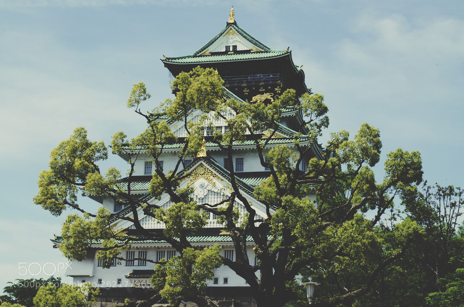 Nikon D5100 sample photo. Osaka castle photography