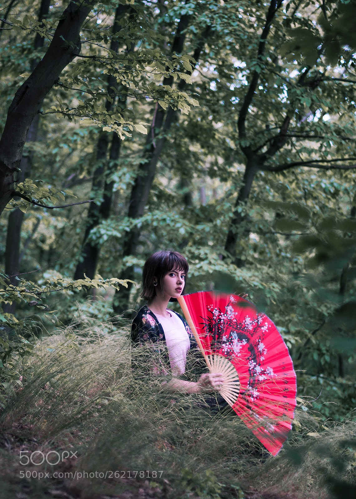 Nikon D90 sample photo. Asian vibes ii photography
