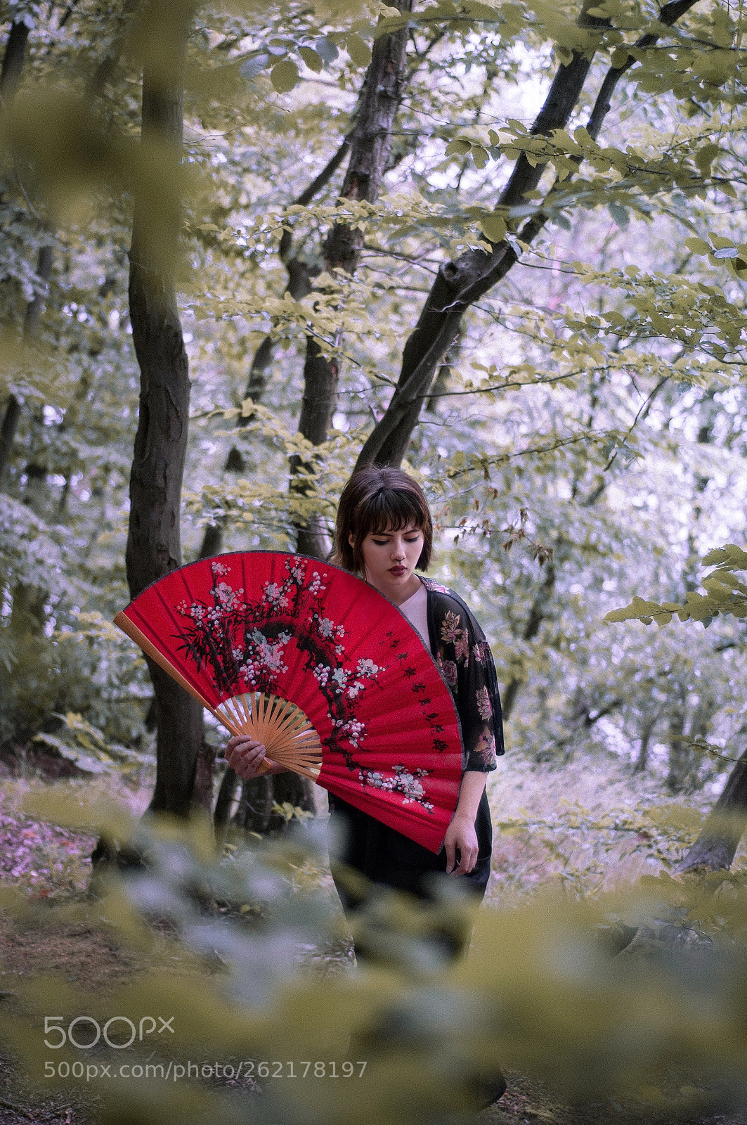 Nikon D90 sample photo. Asian vibes iii photography