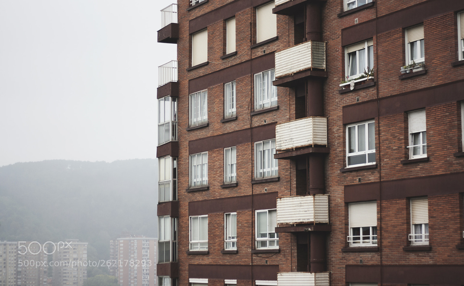 Canon EOS 1000D (EOS Digital Rebel XS / EOS Kiss F) sample photo. Niebla photography
