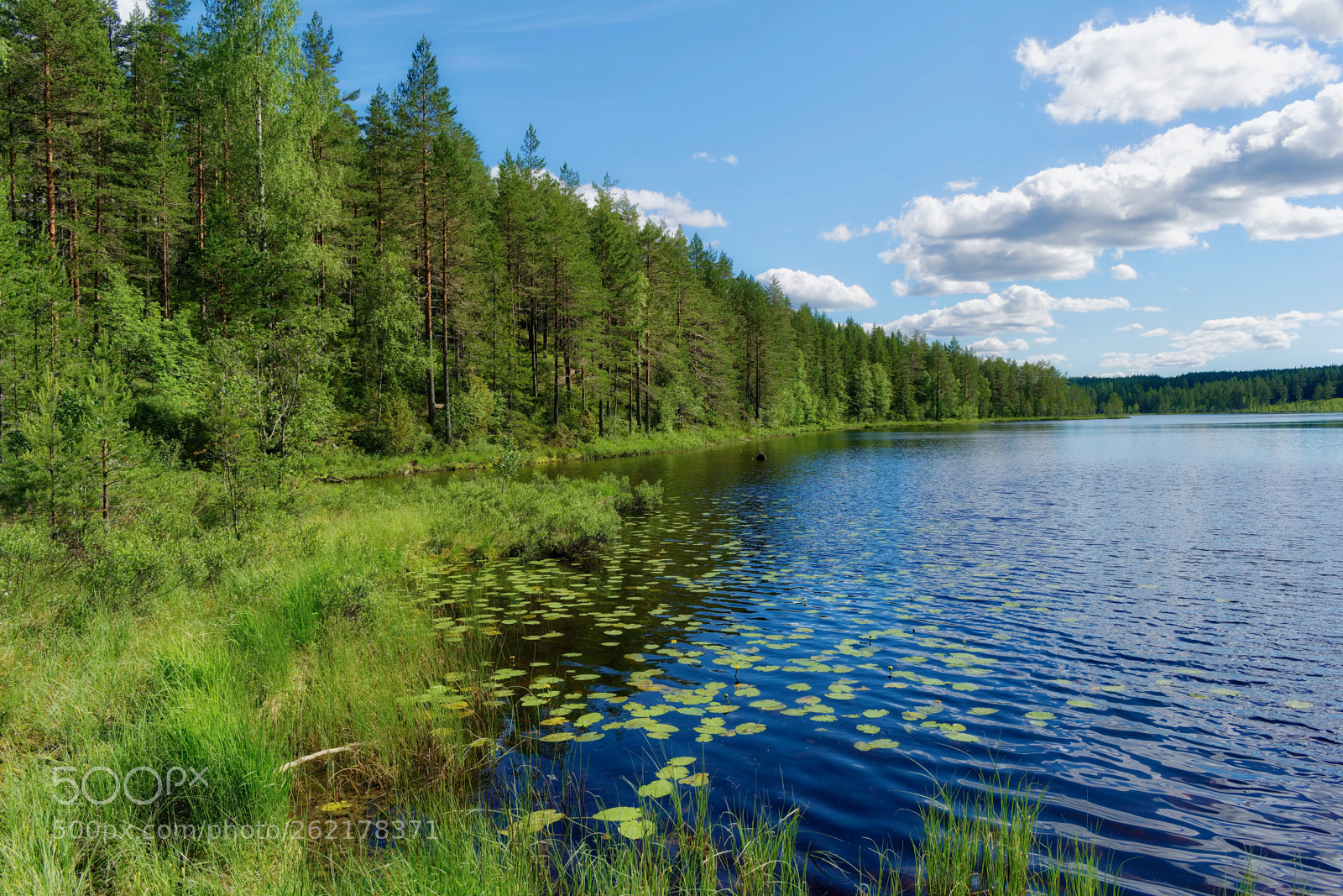 Nikon D3300 sample photo. Lake bjusan photography