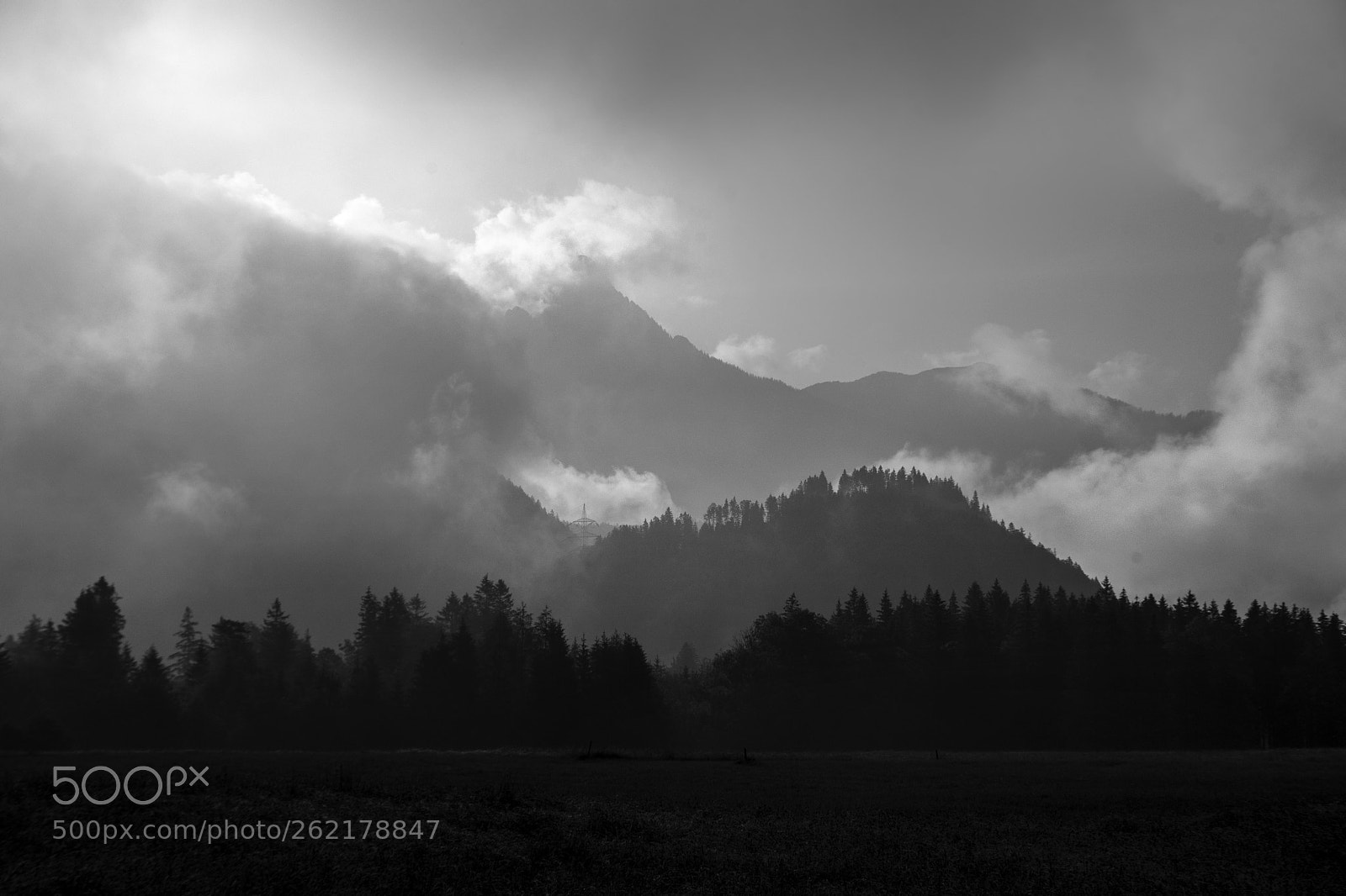 Nikon D750 sample photo. Morning photography