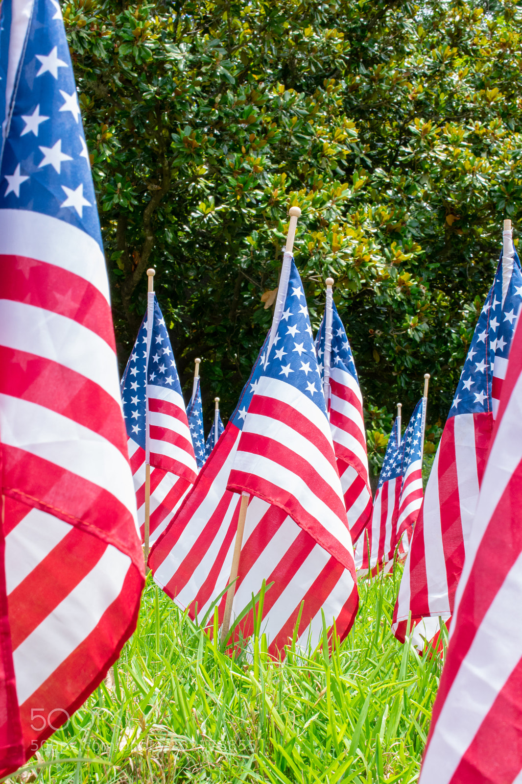Nikon D3400 sample photo. American flag display photography