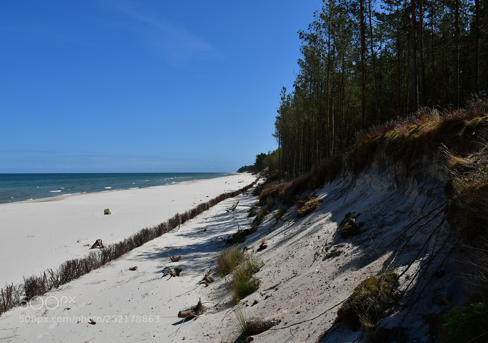 Nikon D500 sample photo. The dreamlike beach of photography