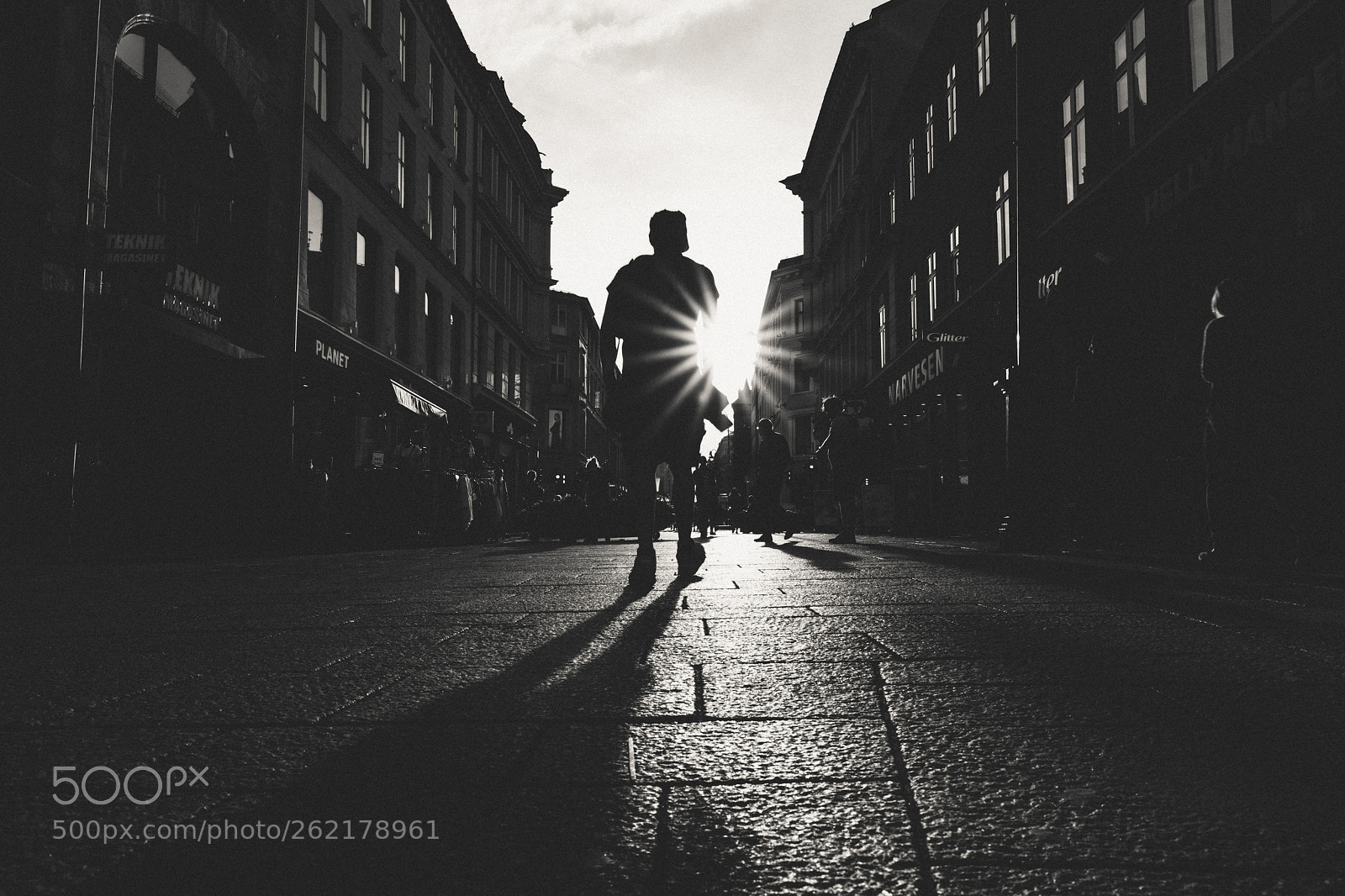 Nikon D850 sample photo. Low sun photography