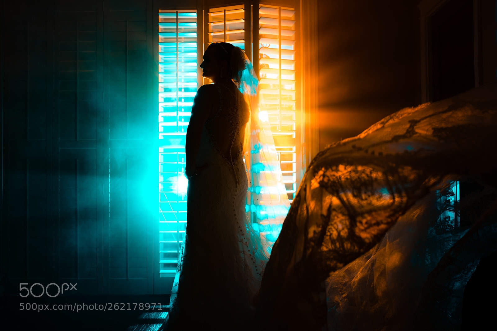 Nikon D850 sample photo. Untitled photography