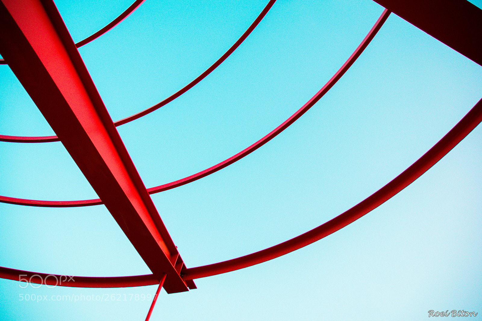 Nikon D5500 sample photo. Red and blue photography