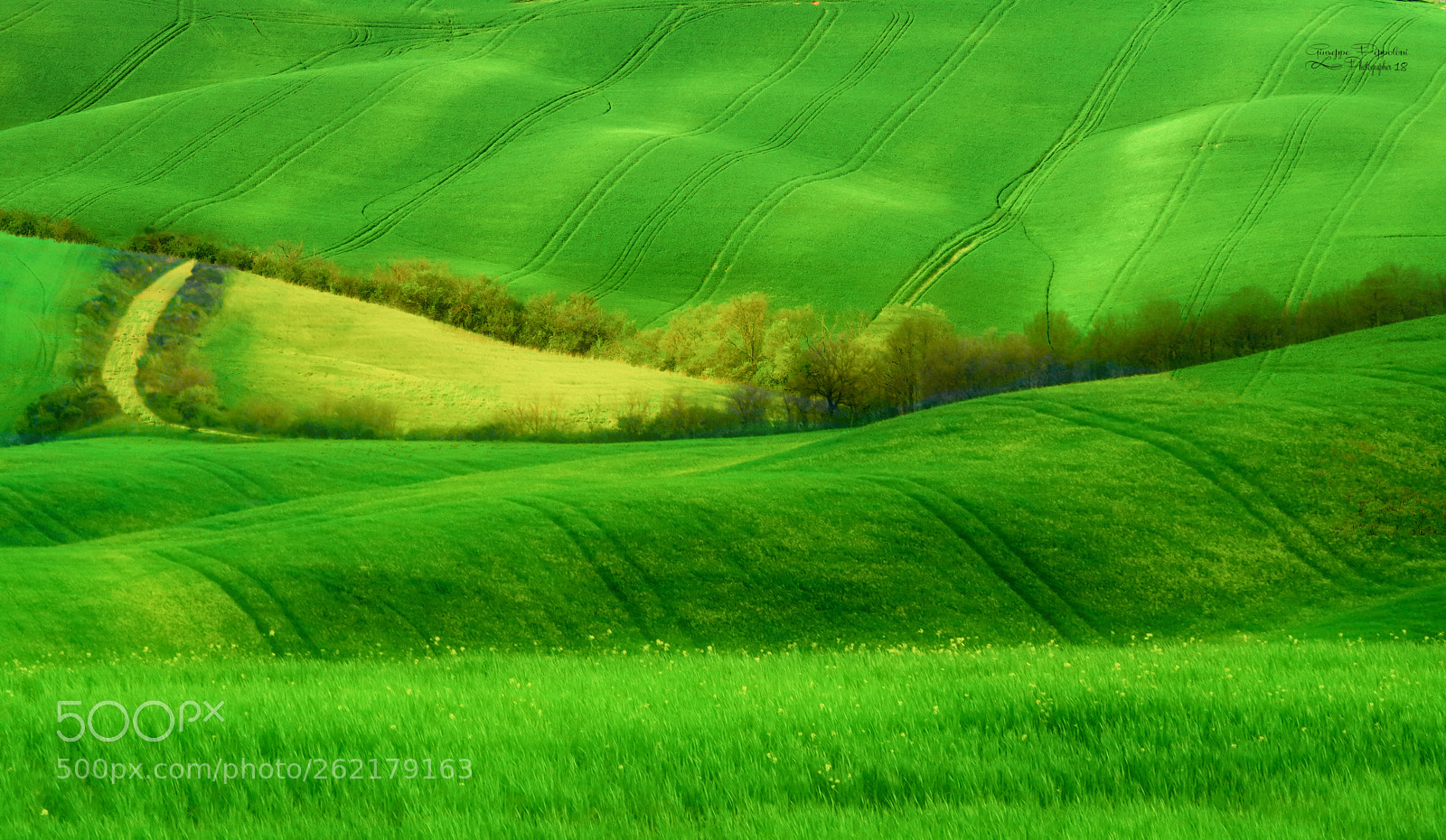 Canon PowerShot G3 X sample photo. Val d'orcia photography