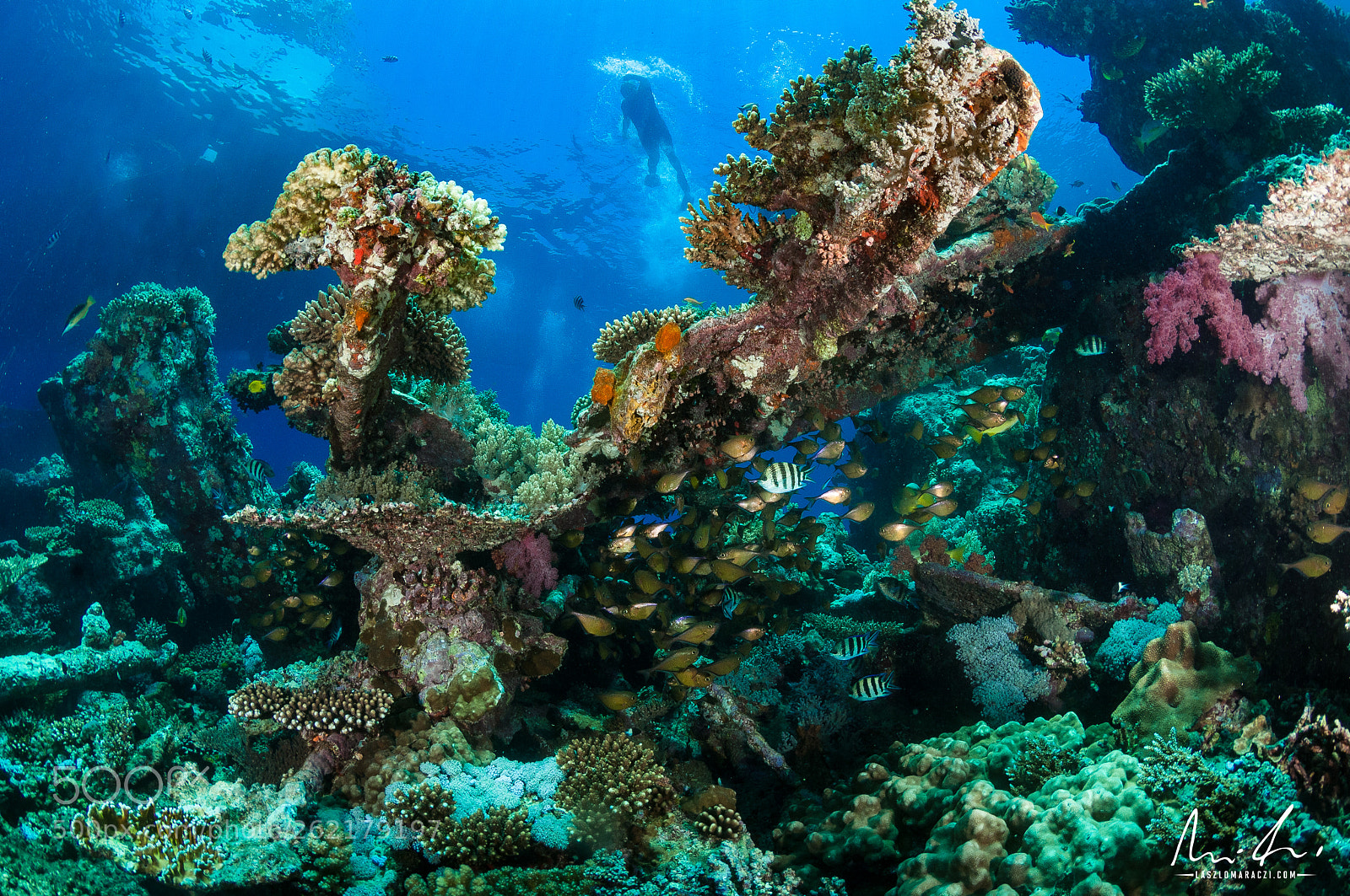 Nikon D300 sample photo. Scenic reef photography