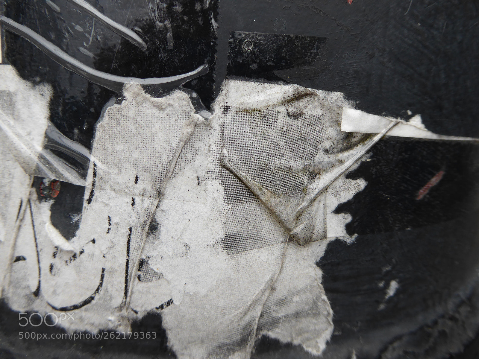 Panasonic Lumix DMC-ZS50 (Lumix DMC-TZ70) sample photo. Paper dragon photography