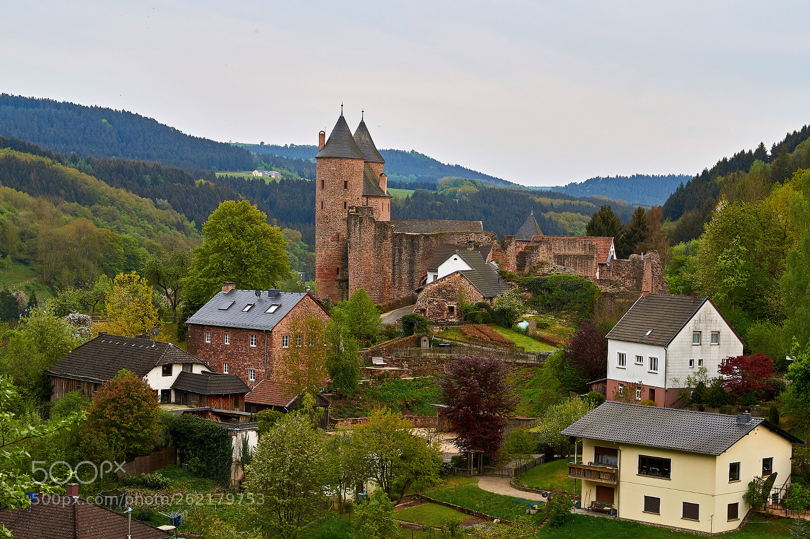 Sony SLT-A58 sample photo. Spring in the eifel photography