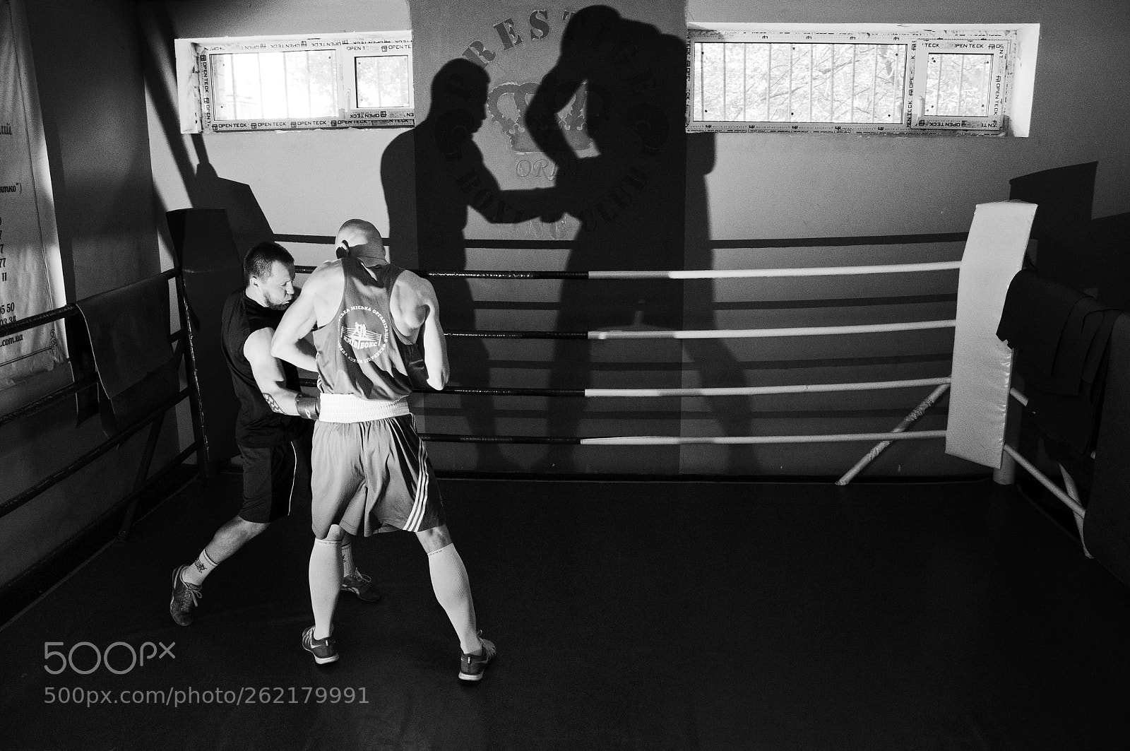 Nikon D90 sample photo. Stand your ground photography