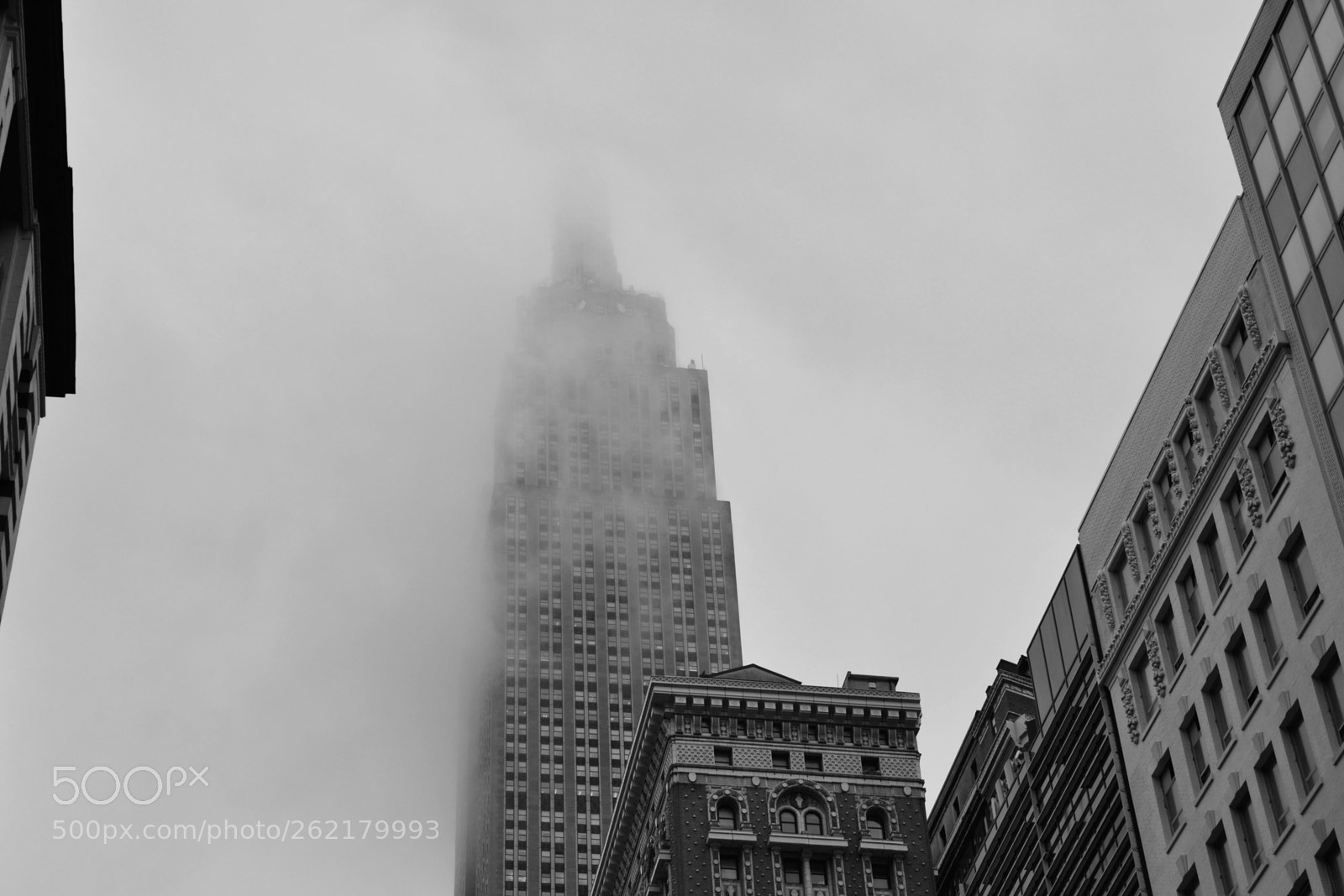 Nikon D610 sample photo. Empire state photography