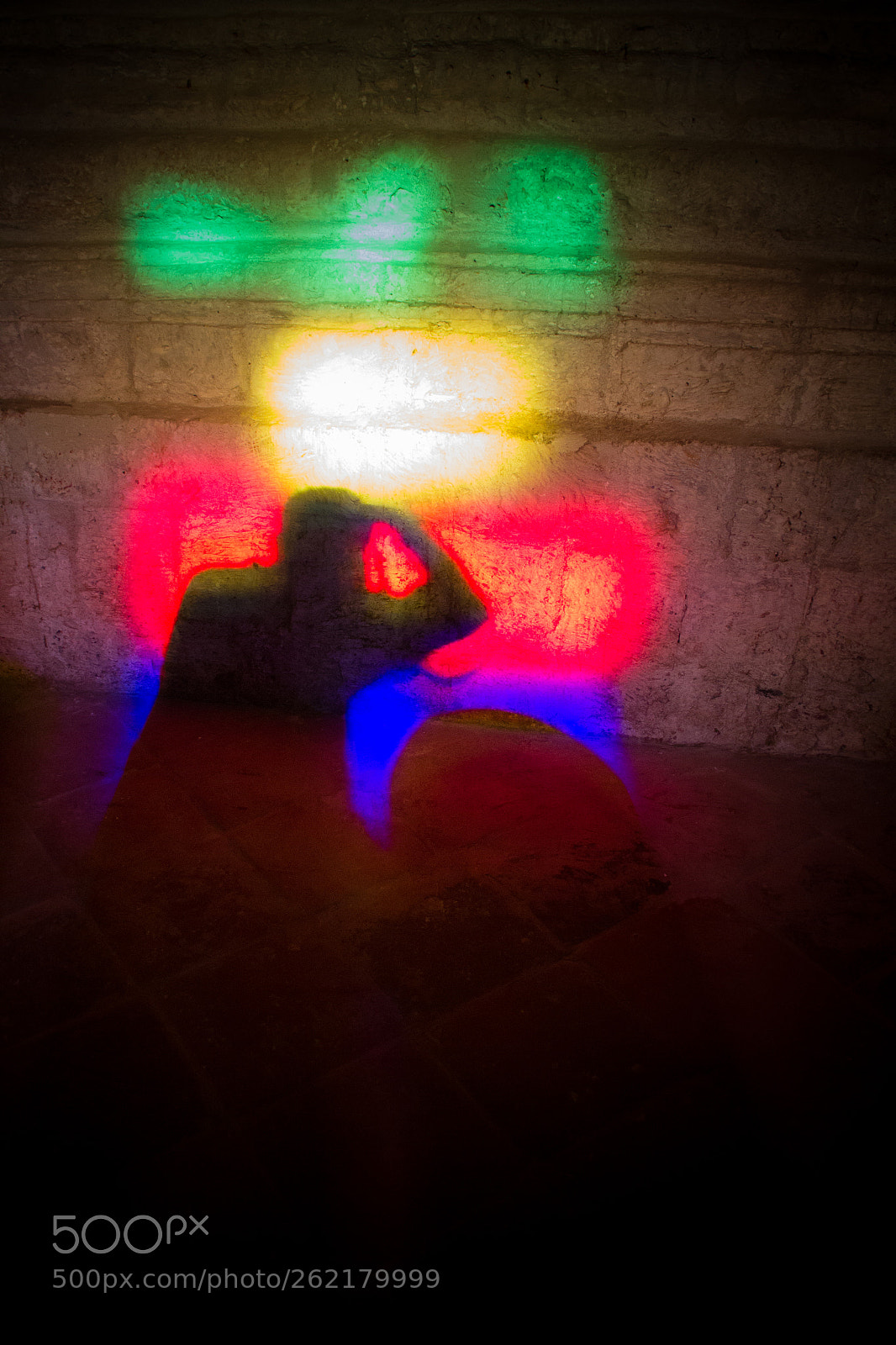 Canon EOS 550D (EOS Rebel T2i / EOS Kiss X4) sample photo. Selfportrait in stained glass photography
