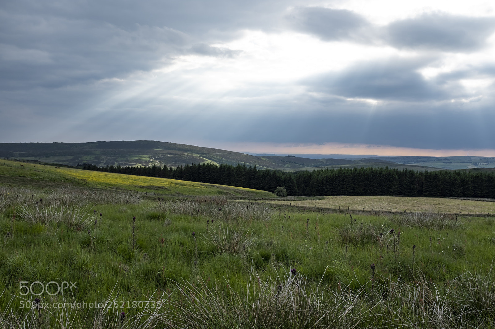 Fujifilm X100F sample photo. Staffordshire photography