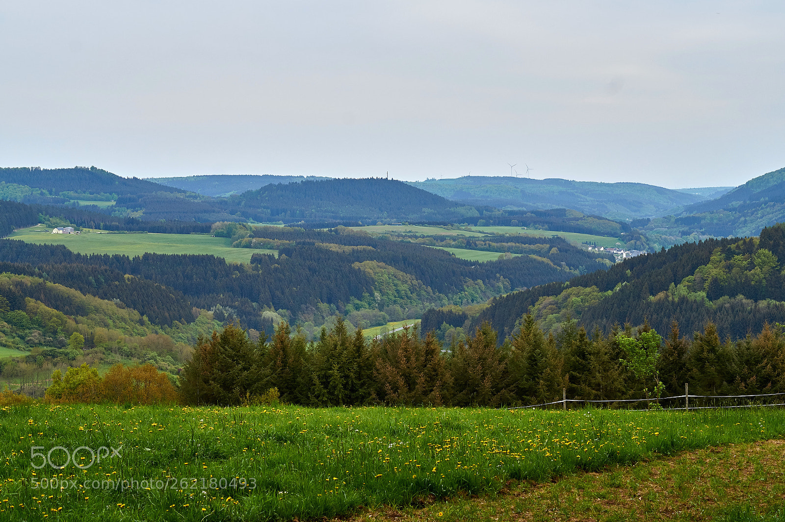 Sony SLT-A58 sample photo. Spring in the eifel. photography