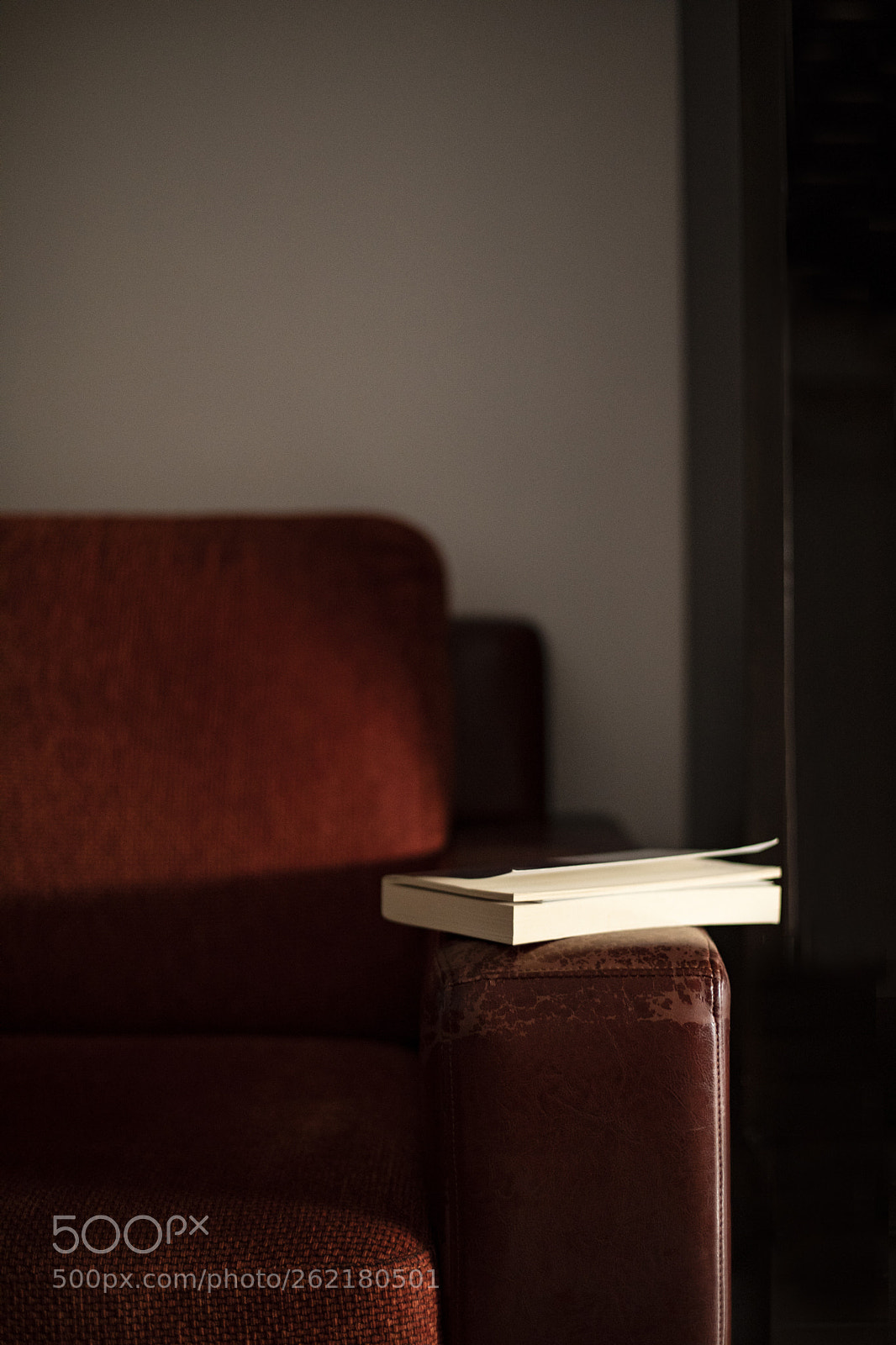 Canon EOS 5D Mark IV sample photo. Long time no see photography