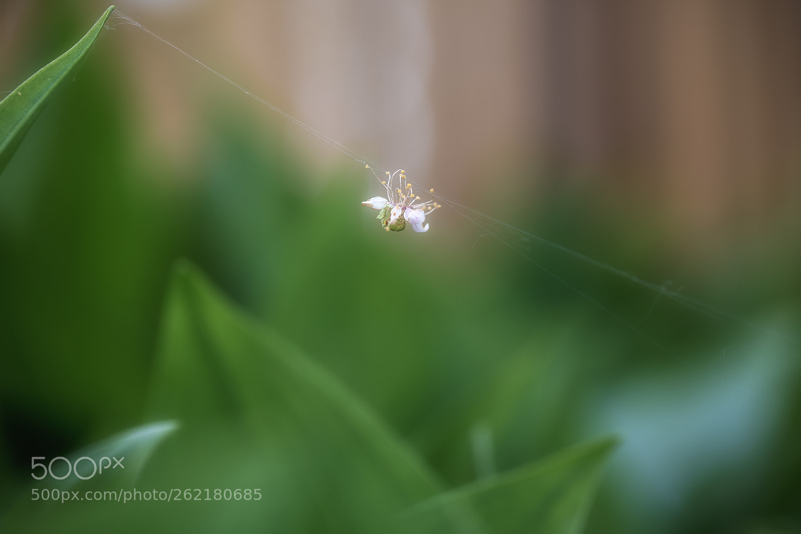 Canon EOS 6D sample photo. Beauty nature photography