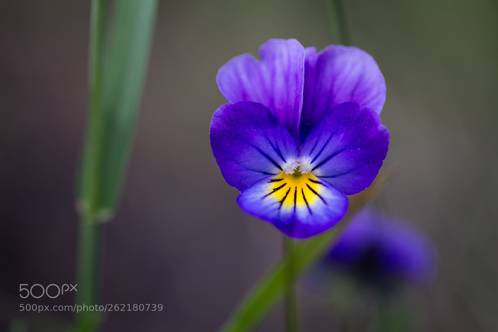 Canon EOS 6D sample photo. Beauty nature photography