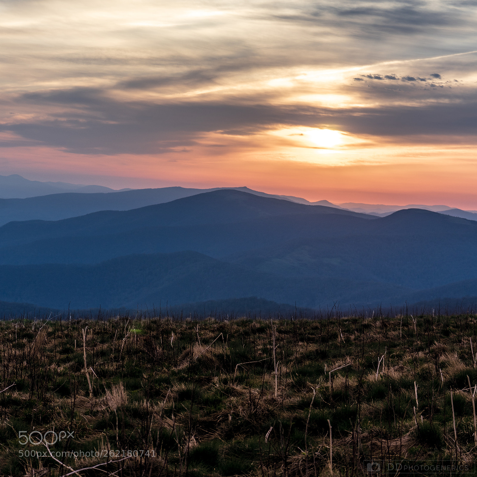 Sony a7 sample photo. Roan mountain 2018 photography