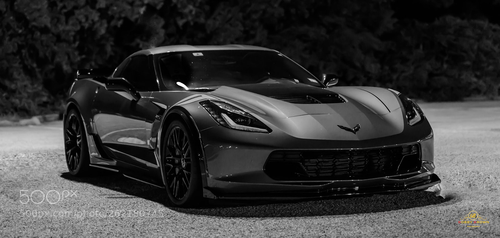 Canon EOS 5D Mark IV sample photo. Unleashed photography