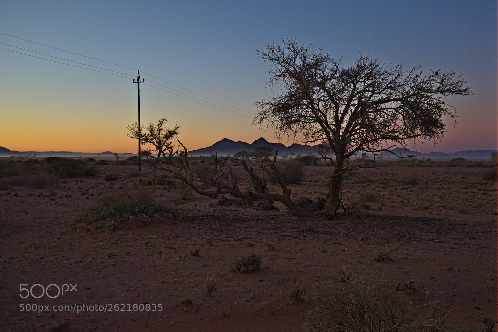 Canon EOS 5D Mark IV sample photo. Desert morning photography
