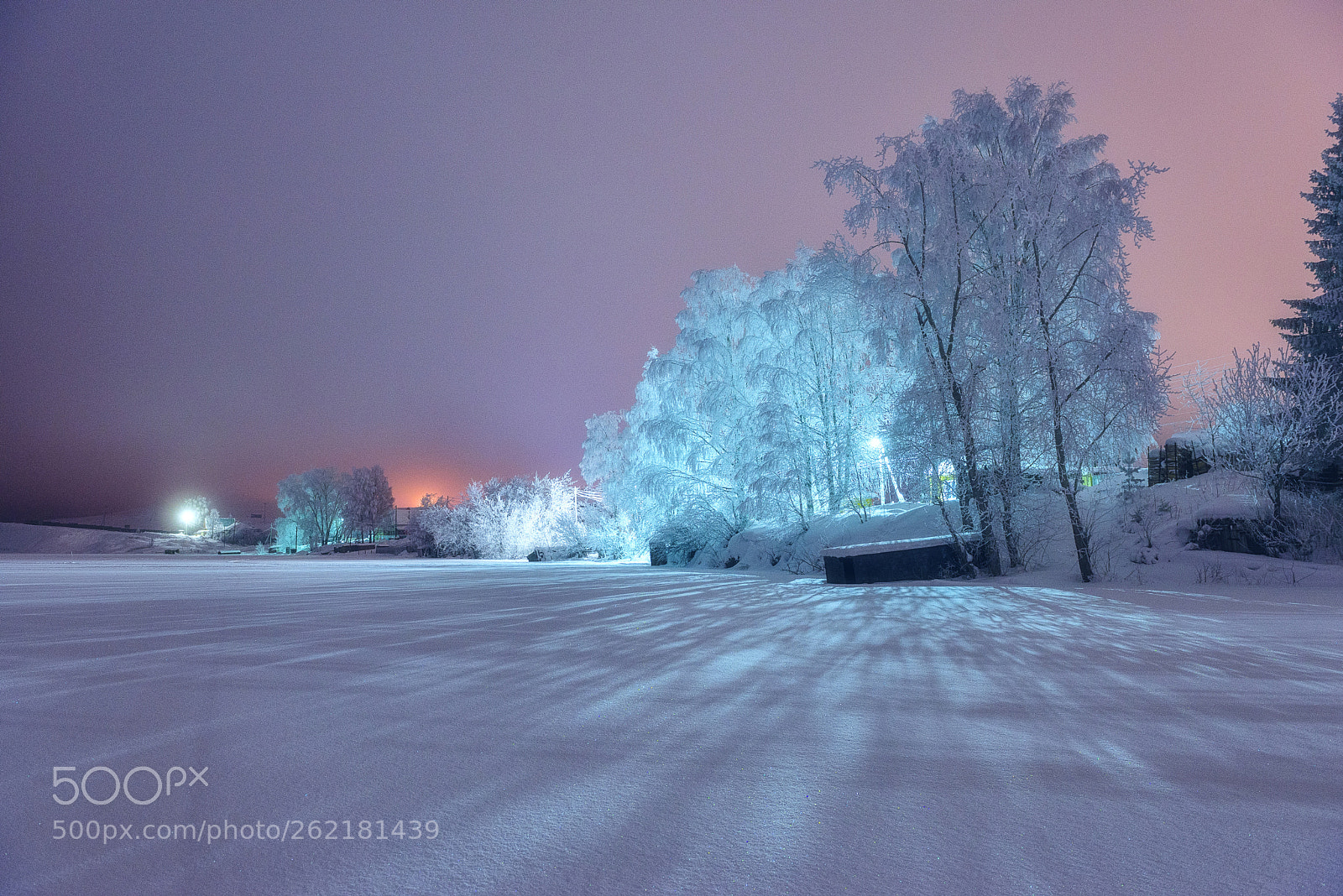 Nikon D610 sample photo. 941. bright evening xi photography