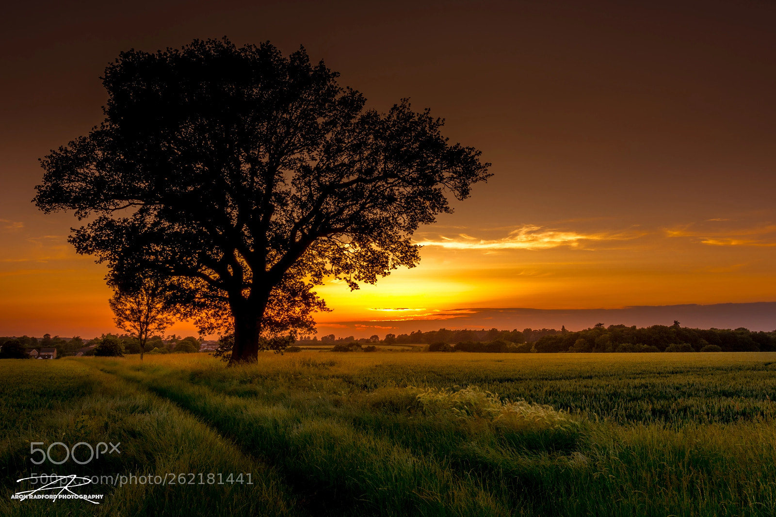 Nikon D7100 sample photo. Hometown sunset photography