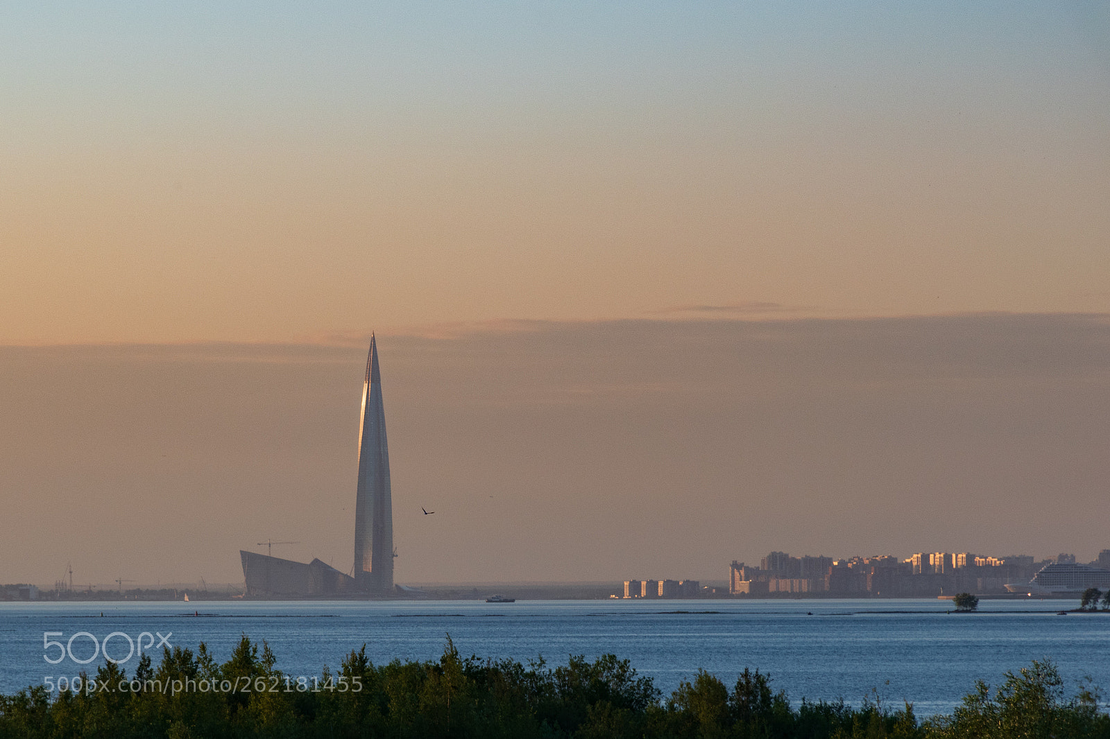 Nikon D5500 sample photo. 20180613-dsc_1011-3.jpg photography
