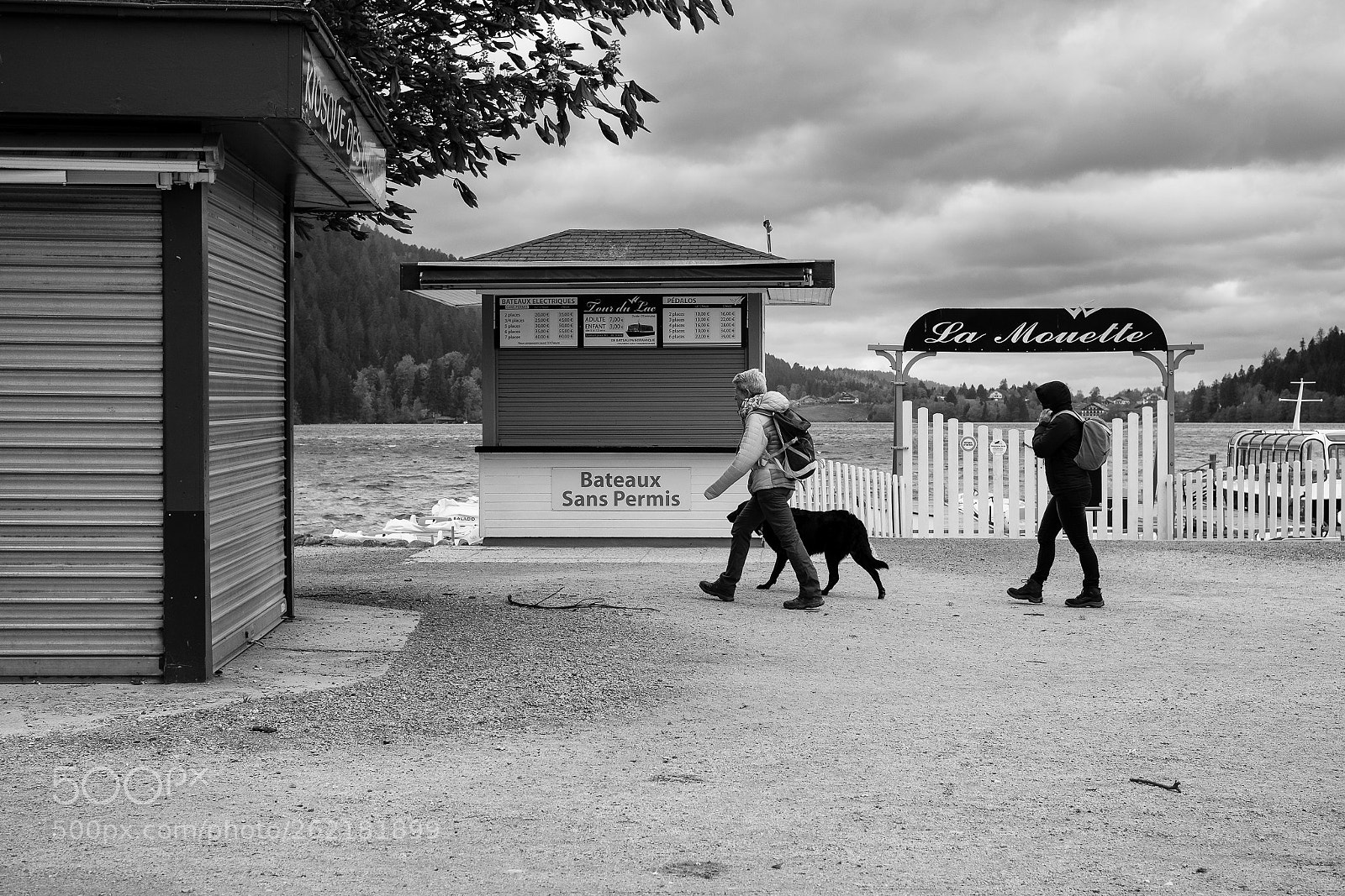 Fujifilm X-E1 sample photo. La mouette photography
