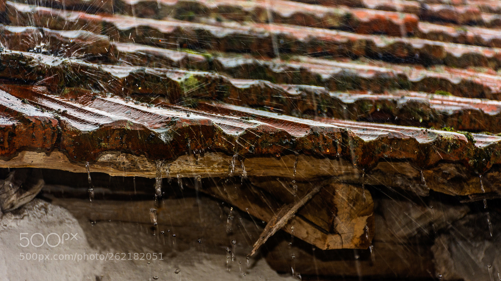 Nikon D7200 sample photo. Rainy weather photography