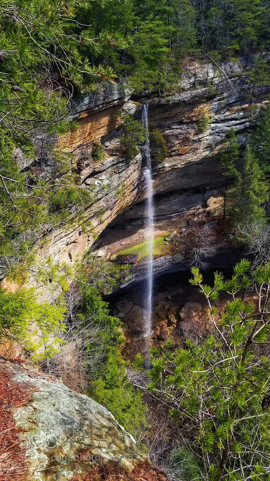 Samsung Galaxy S8 sample photo. Nature photography