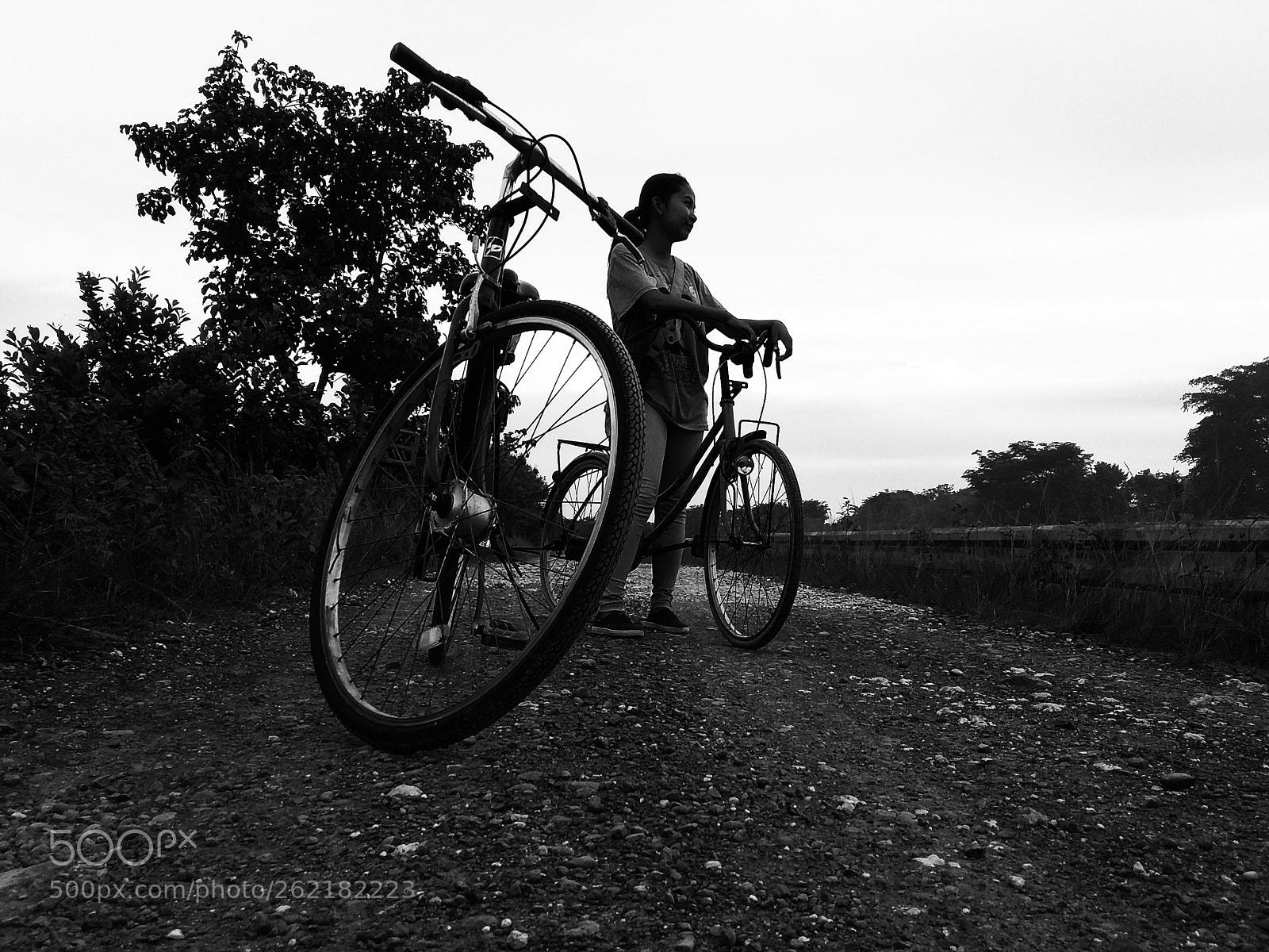 Samsung Galaxy J3(2016) sample photo. Bike photography